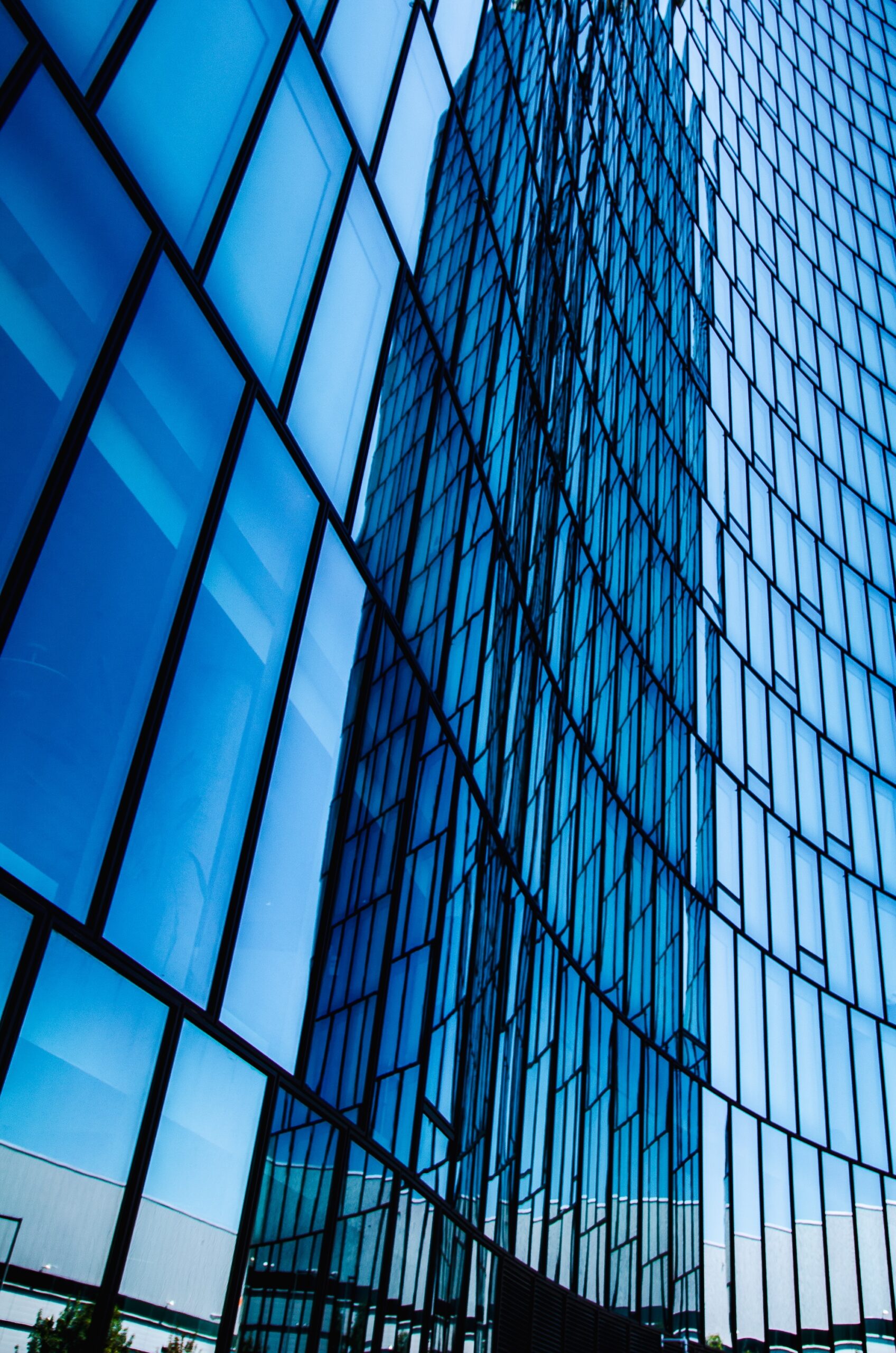 Alopex Glazing Solutions Process